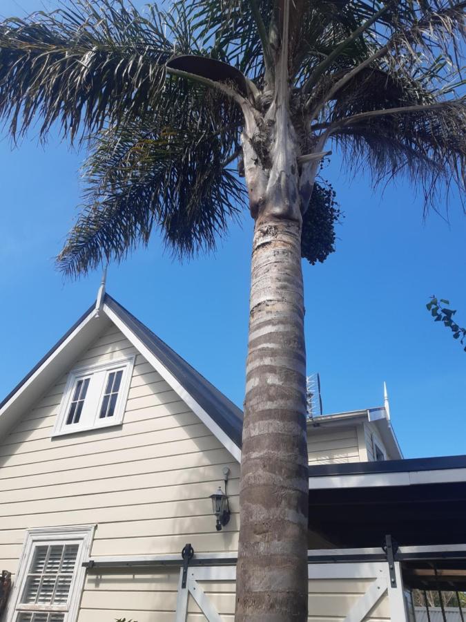 Harbour View Cottage Auckland Exterior photo